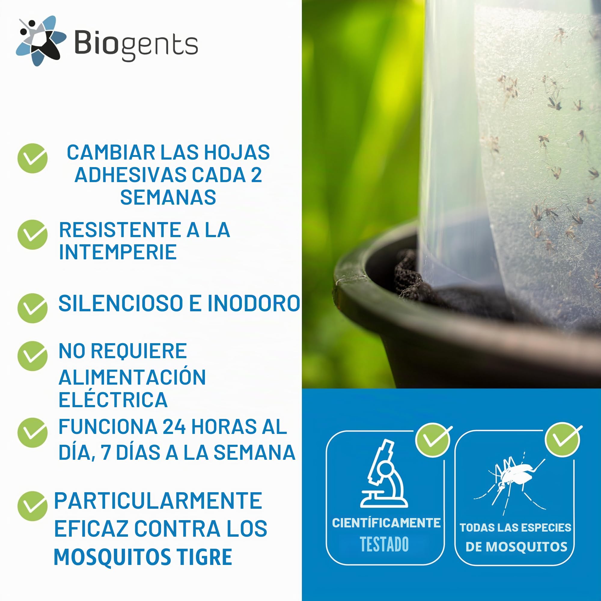 BG GAT Trampa para la Captura del Mosquito Hembra