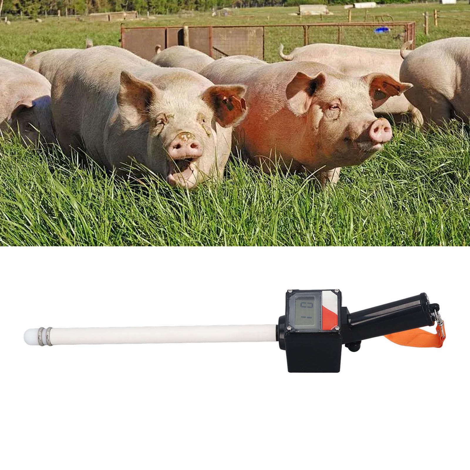 Pilipane Detector de ovulación de Cerdo visualización Digital Sow Sow ovulación probador de no destructivo sonda de Prueba de Prueba de Veterano para granjeros Veterinarios plástico