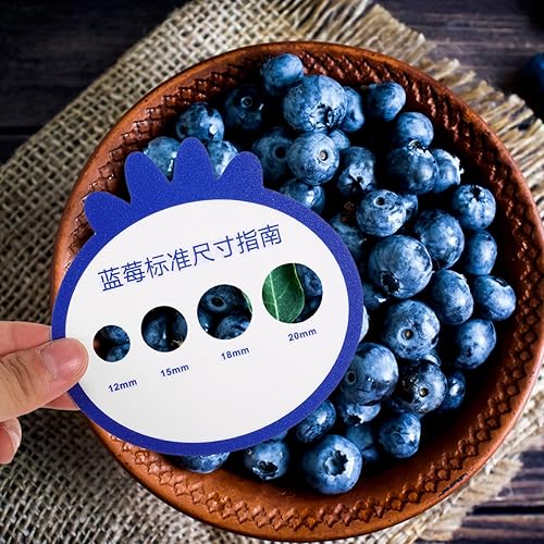 Miniatura 9 de 12 tarjetas de medición de diámetro de arándanos, tarjeta de medición de diámetro de fruta, tarjeta de medición de diámetro para granja de