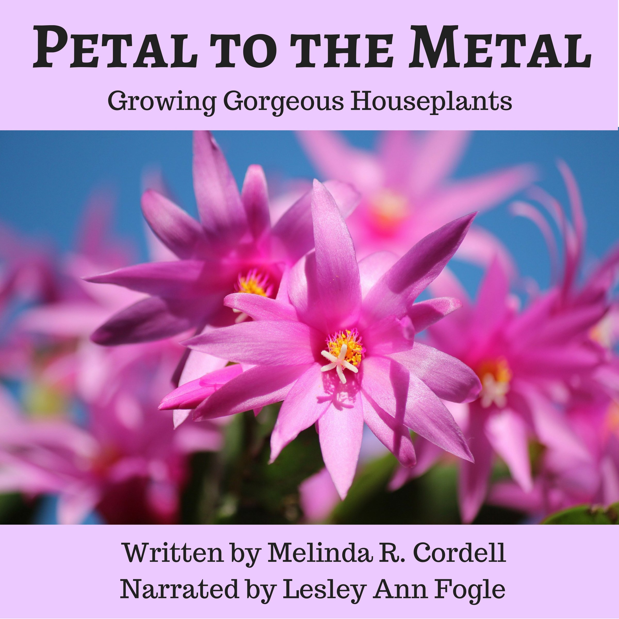 Petal to the Metal: Growing Gorgeous Houseplants