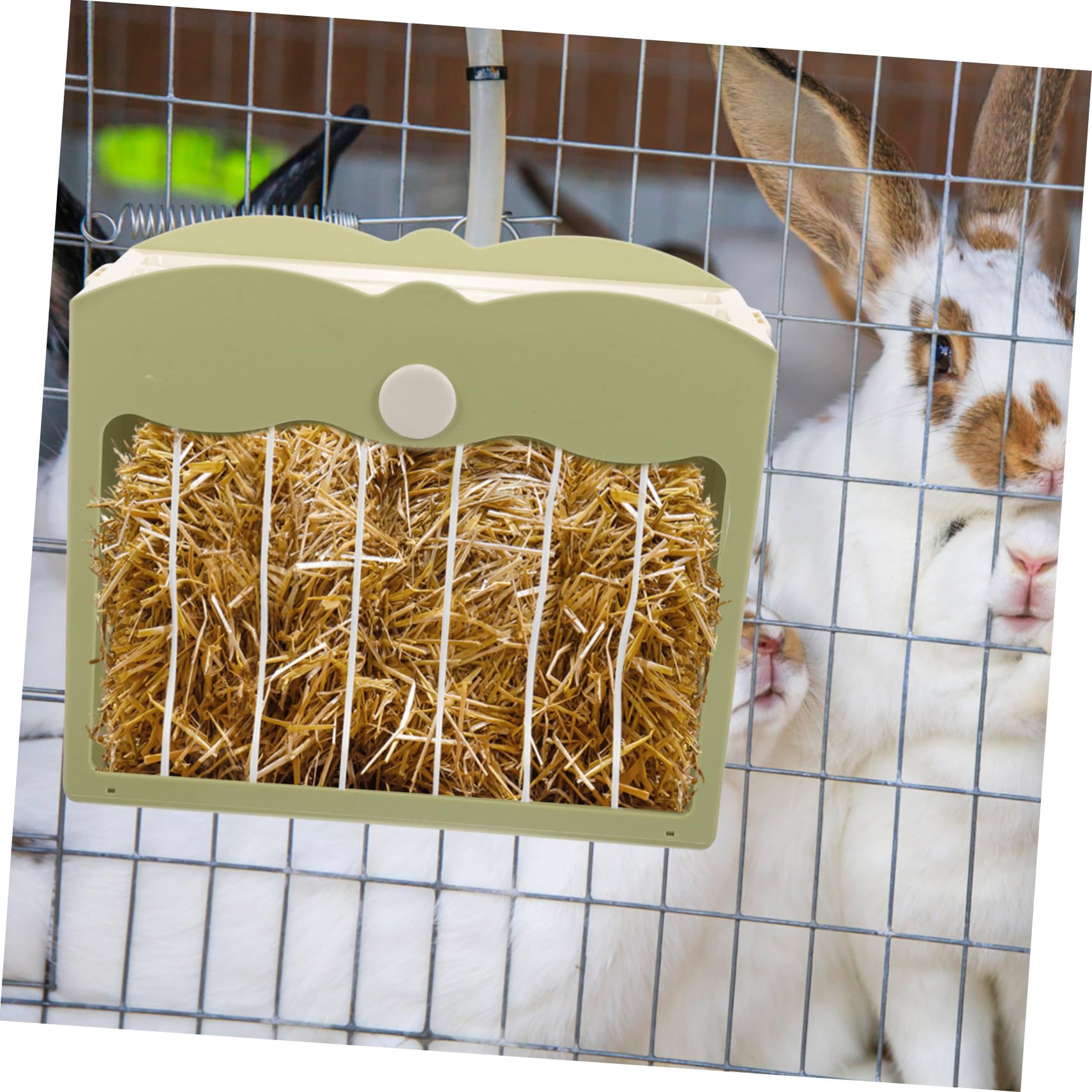 Râtelier à Foin Suspendu pour Lapin et Hamster, Plastique Vert Clair