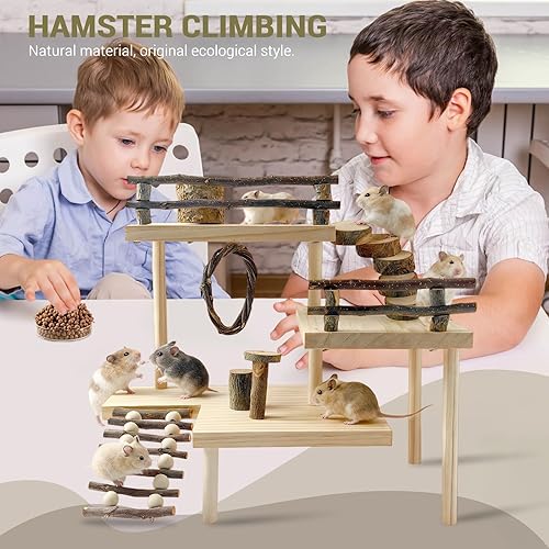 Miniatura 7 de RoseFlower Plataforma de hámster de madera para jaula, juguete de escalada para patio de recreo, animales pequeños, juego de actividades de