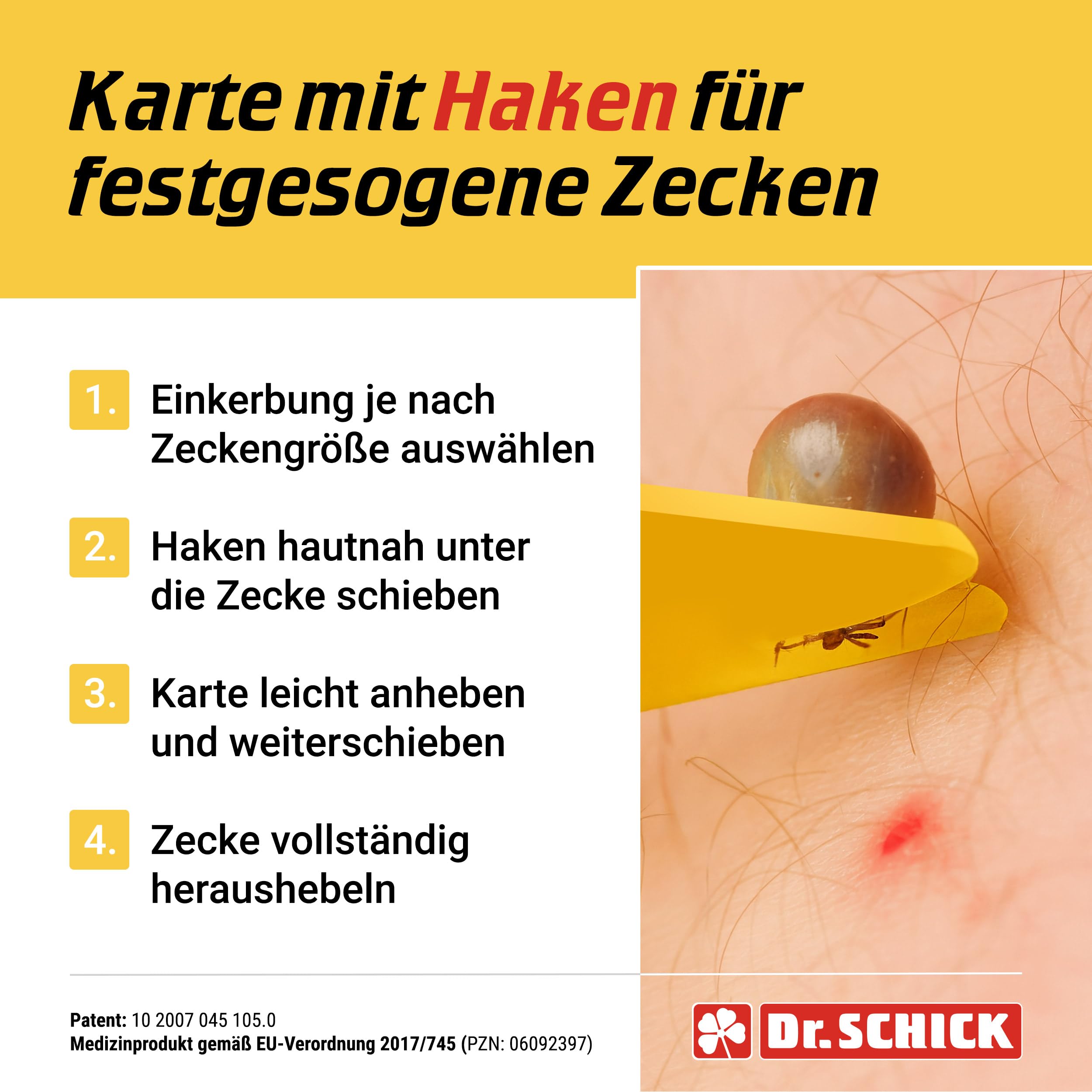 karta grzebieniowa na kleszcze