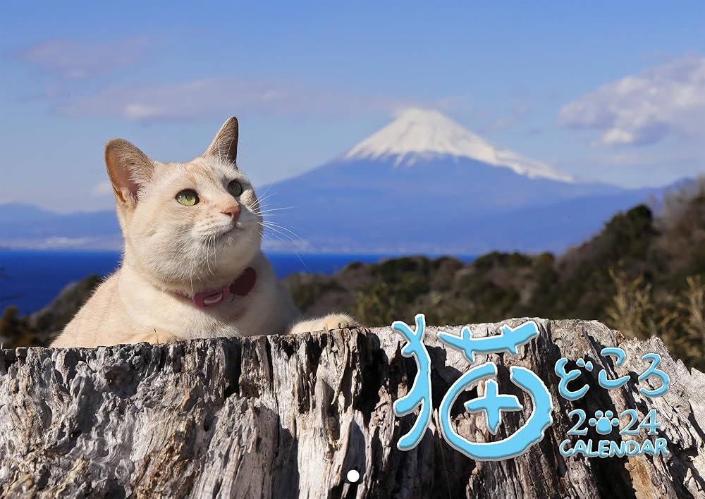 当時物 産経新聞 景品 下敷き 柴田慶信商店_白木_おさなご弁当 – 東北スタンダードマーケット