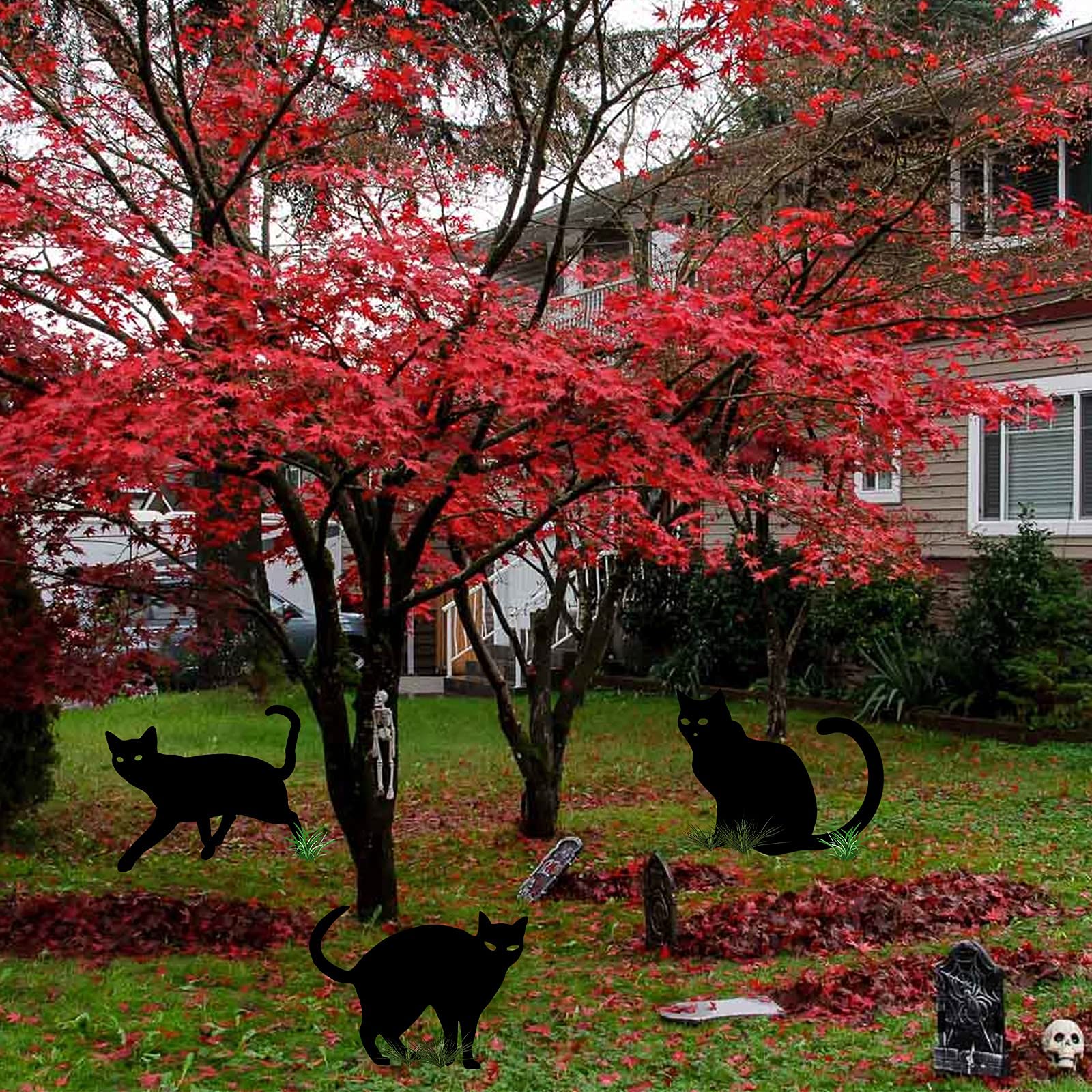 6 cartelli da cortile con gatto nero di Halloween, con paletti