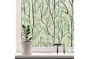 DKTIE Window Films: Privacy, Fashion, and Simplicity for Your Windows