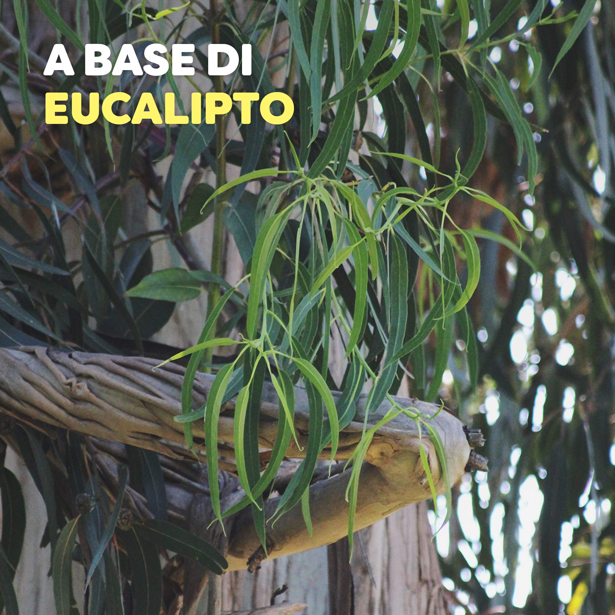 Autan Botanicals Lotion Insetto Repellente e Antizanzare a Base di Olio di Eucalipto, 1 Confezione da 50 ml