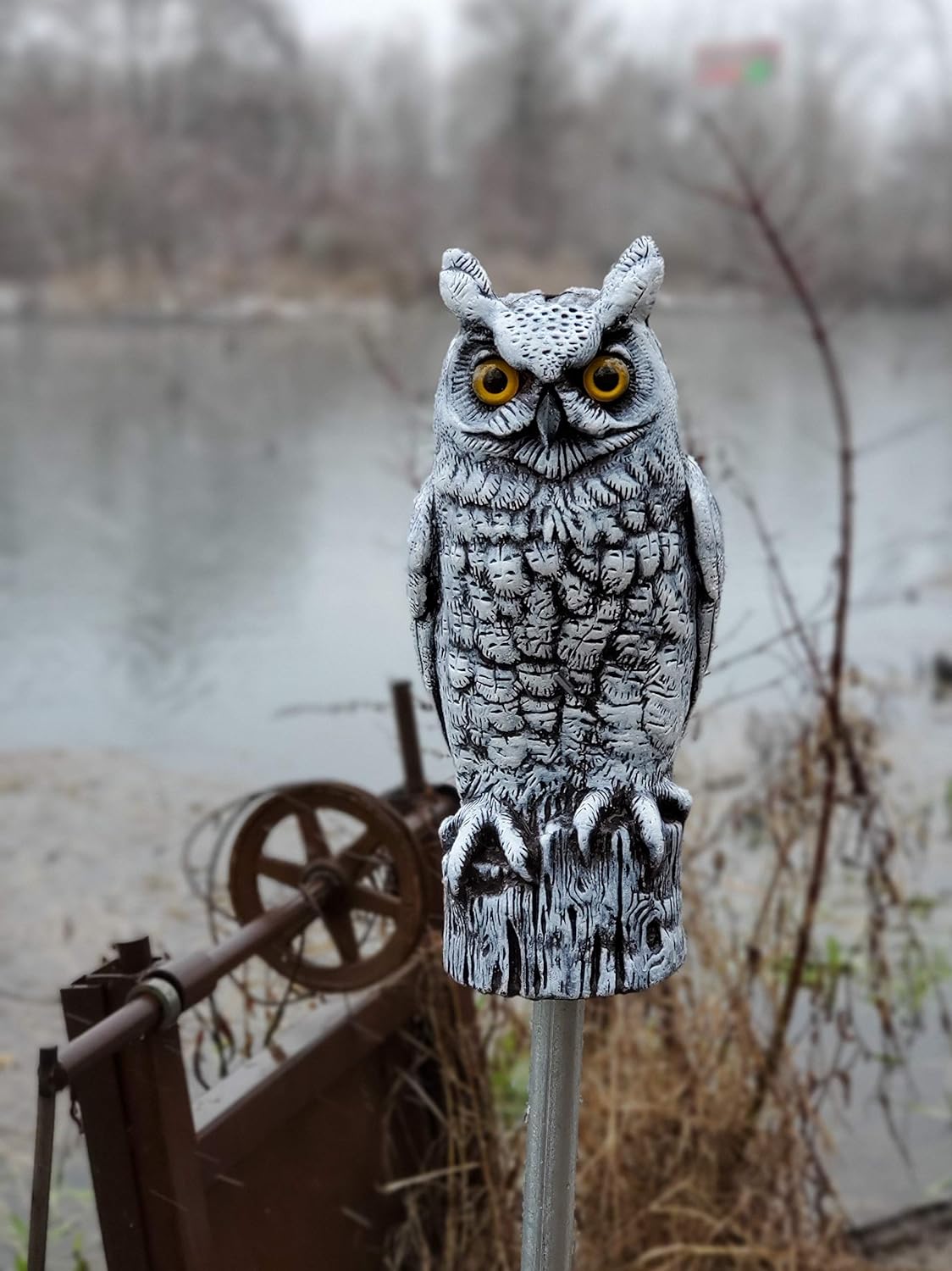Dalen Fake Owl Decoy to Scare Birds Away from Gardens, Rooftops, and Patios - Scarecrow Provides Chemical-Free Pest Control - Safe and Humane, 16" Great Horned Owl - Snow White - Image 5