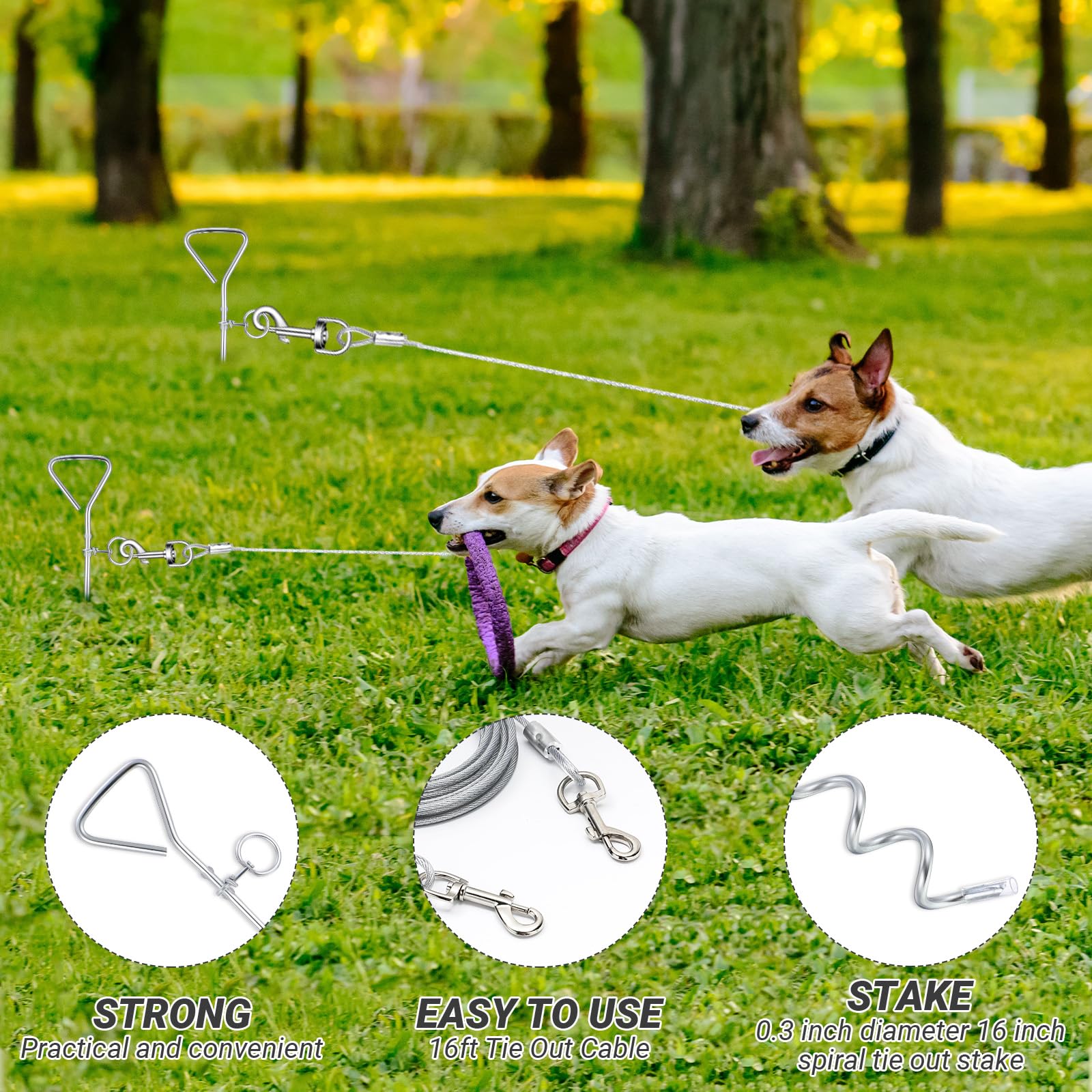 Retractable Cable Tie Canadian Tire Petco Dog Stake Amylove Pcs Dog Tie Out  Cable And Stake,