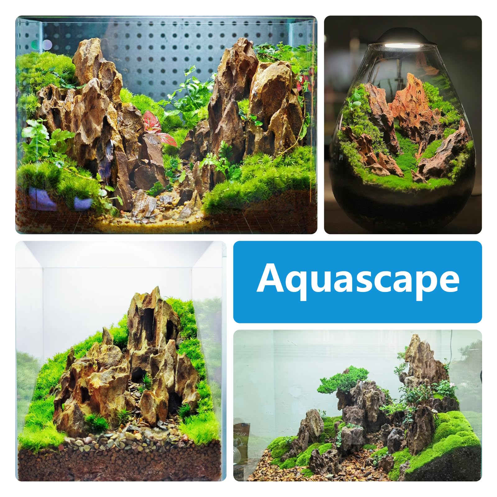 Aquariumsteine 2,3kg Drachenstein für Aquascaping – 5–18 cm Natursteine für Aquarium, Terrarium, Paludarium & Fischbecken-Dekoration