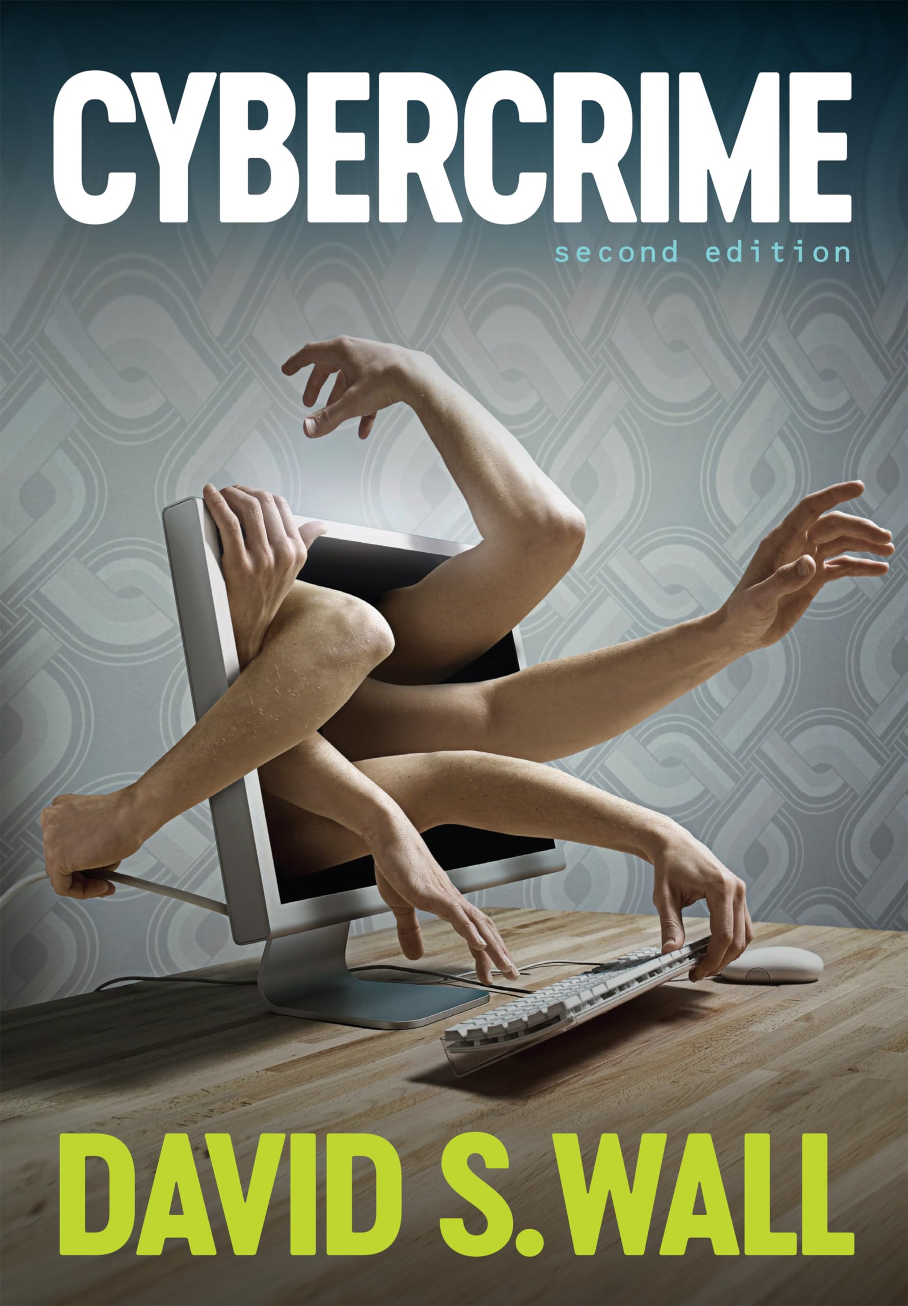 Cybercrime by David S.  Wall PAPERBACK 9780745653532