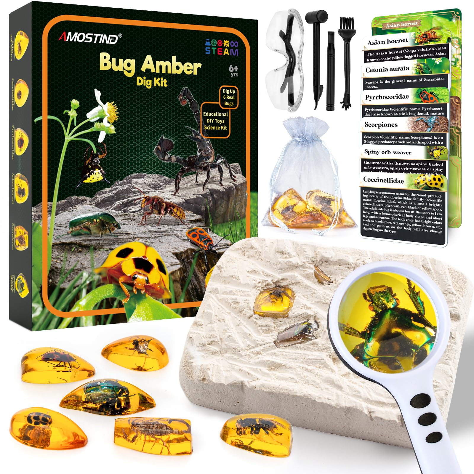 Amber Mega Fossil Dig Kit，Real Crystals & Gemstone Fossil Science Kits for Kids Age 6 7 8 9 10， Rocks & Stones & Bugs Excavation Kits， Educational Toys Gifts Toys for 6+ Year Old Girls Boys