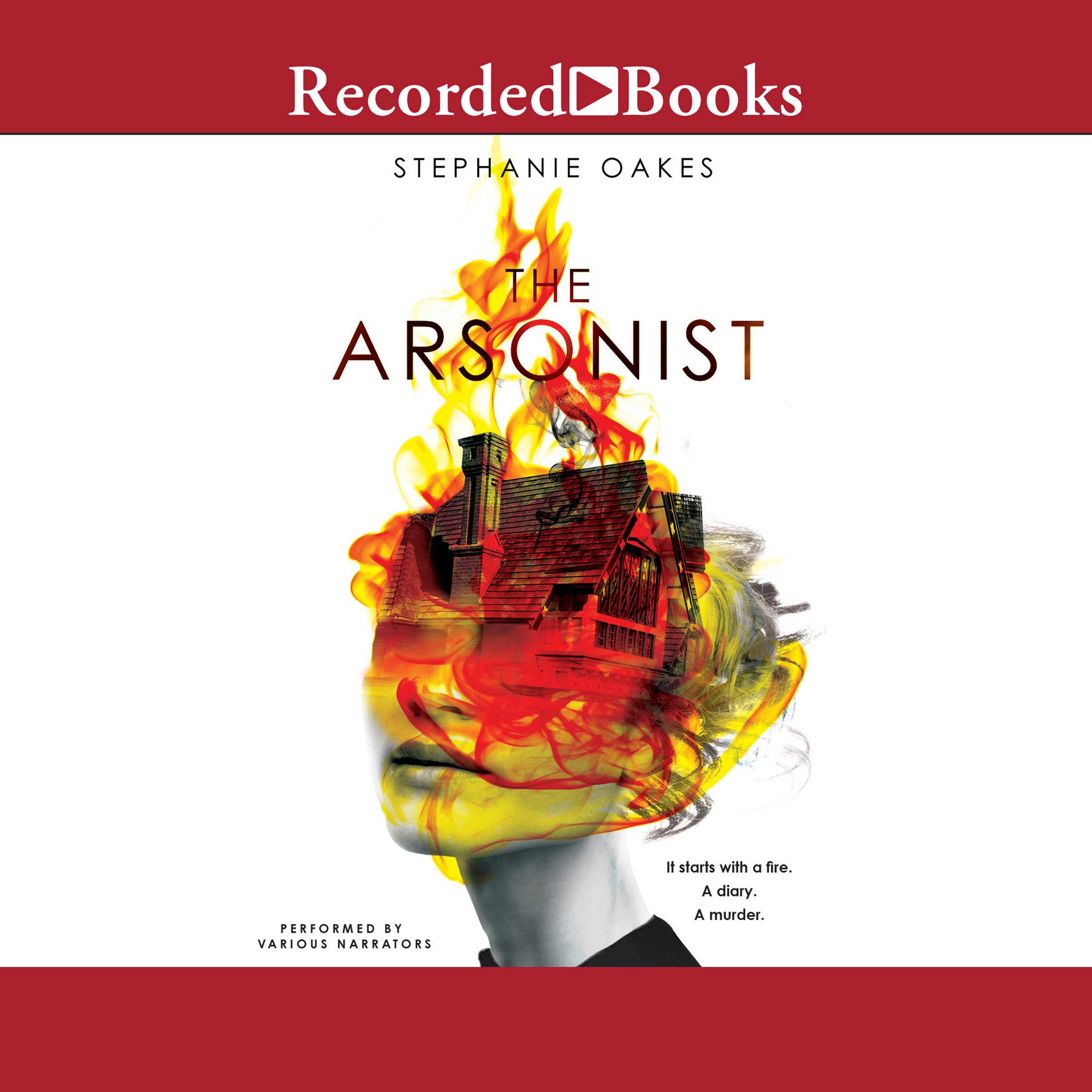 Cover art for The Arsonist