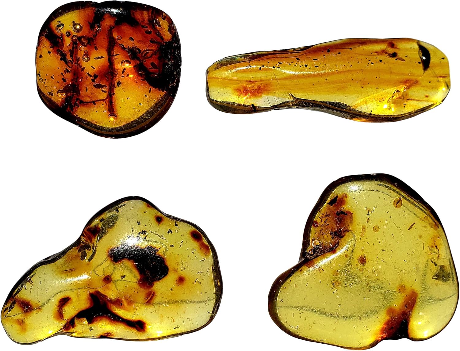 DINOSAURS ROCK Genuine Colombian Amber Fossil Specimen - Naturally Formed - May Contain Inclusions - Great Collectible (Medium)