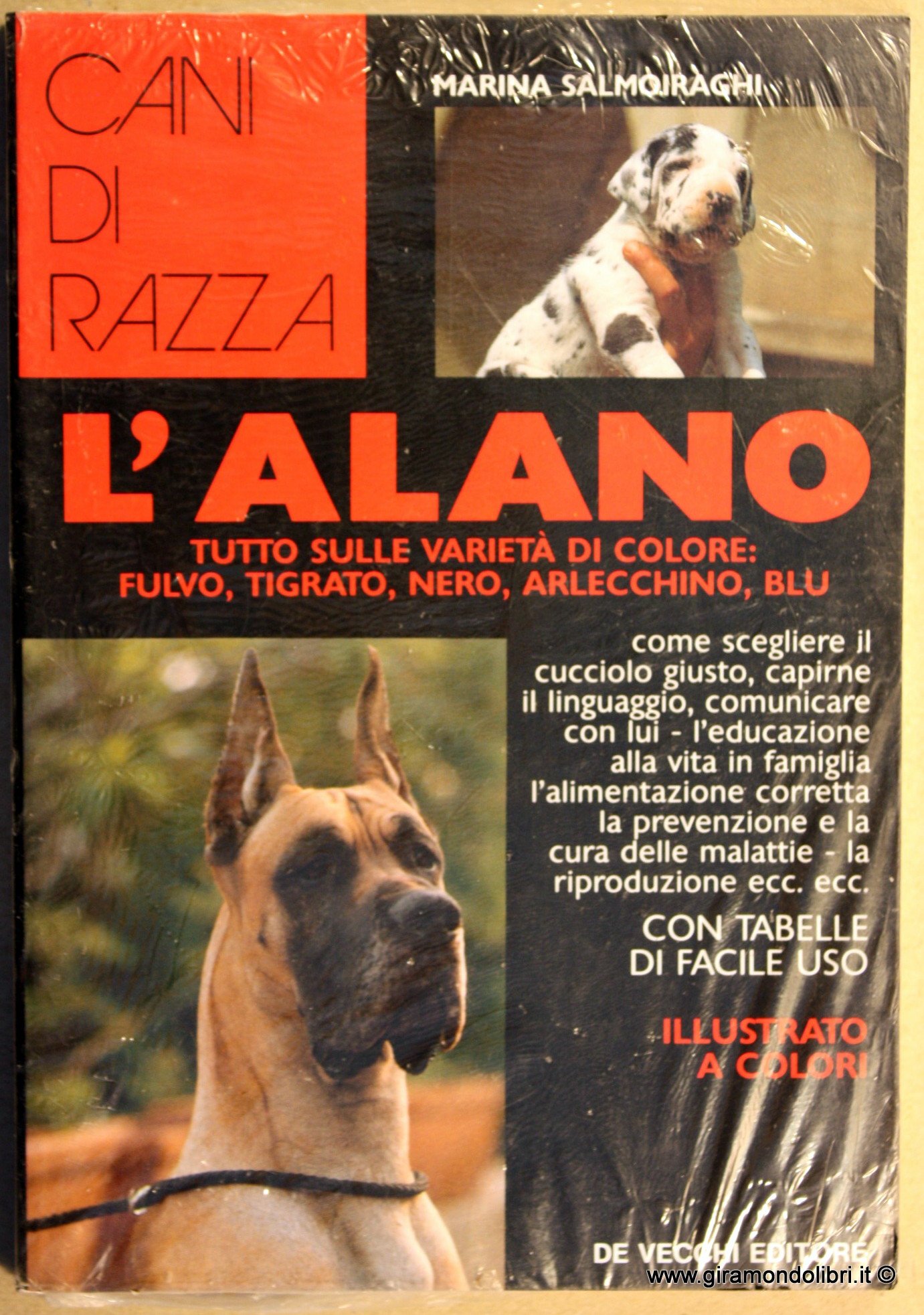Alano Rizzo Alano Tigrato Blu L'Alano: Il Gigante Gentile Dal Cuore D'oro
