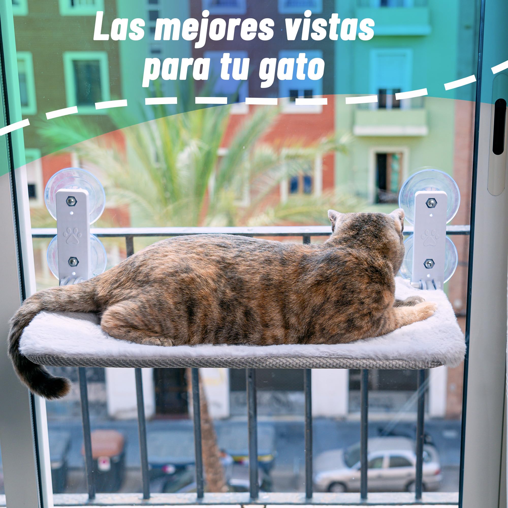 Hamaca Ventana Gato con Manta de Regalo, 30x60 cm, Ventosas Fuertes, 18 kg