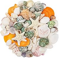 WeDoSoy Natural Mixed Seashells & Starfish Set (100+ pcs, 0.8-2.5") - Beach Decor, DIY Crafts, Vase Fillers, Crafts