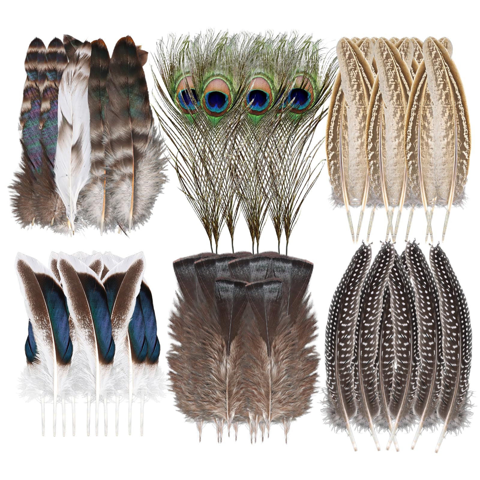 Set 48 Piume Naturali BelleVive | 6 Stili Mist | Pavone, Fagiano, Tacchino | Per Fai Da Te, Matrimoni, Costumi - Foto 6