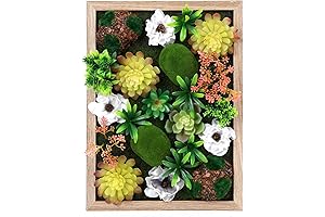 3D Artificial Succulent Floral Faux Succulents Wall Decor for Living Room Decoration