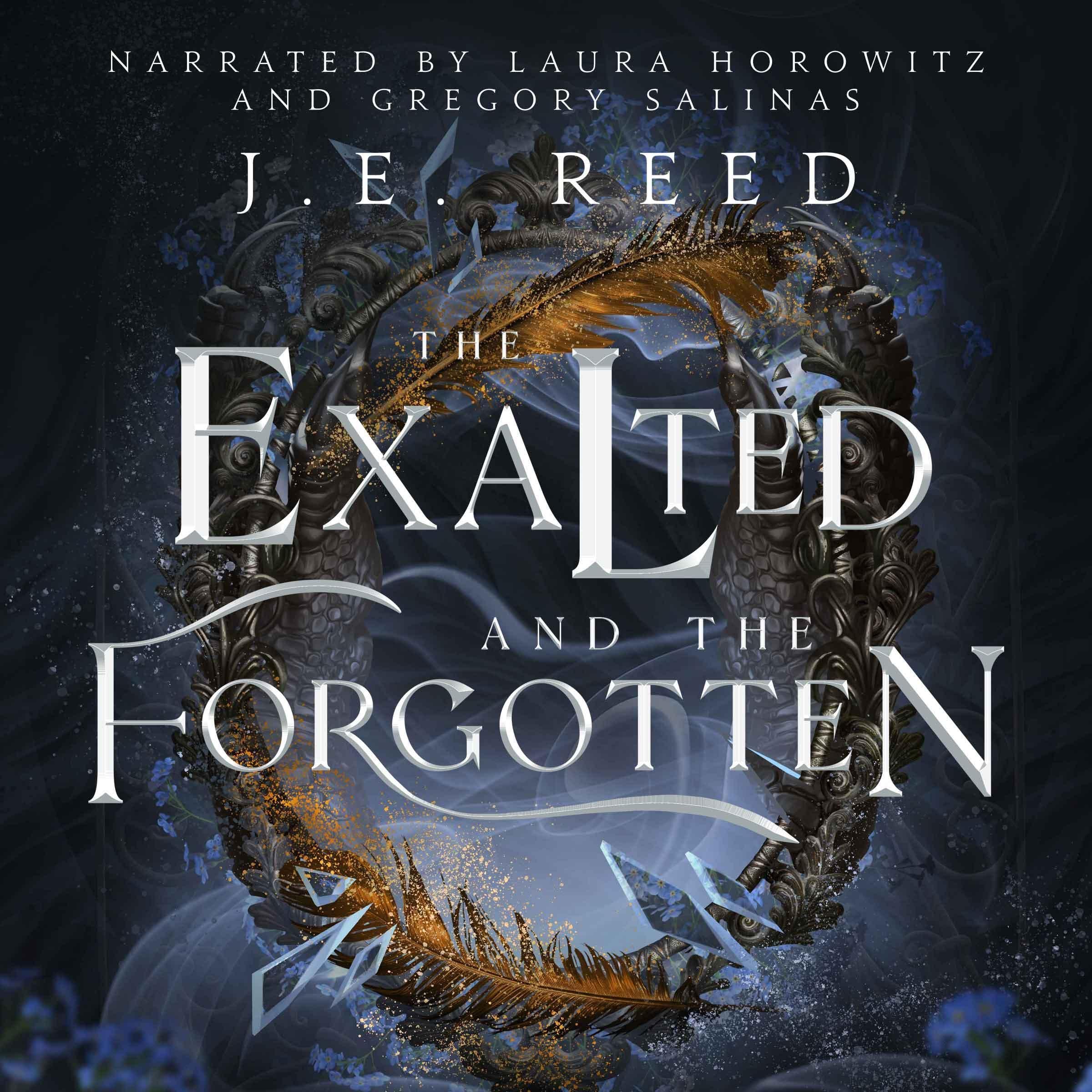 Cover art for The Exalted and the Forgotten