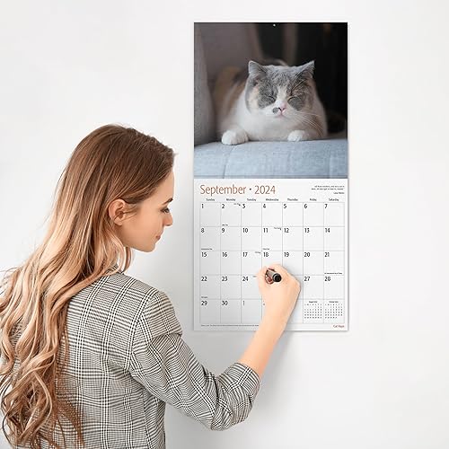 Miniatura 4 de RED EMBER Cat Naps - Calendario mensual de pared colgante 2024  12 x 24 pulgadas abierto  Papel grueso y resistente  Regalo  Lindo gatito divertido