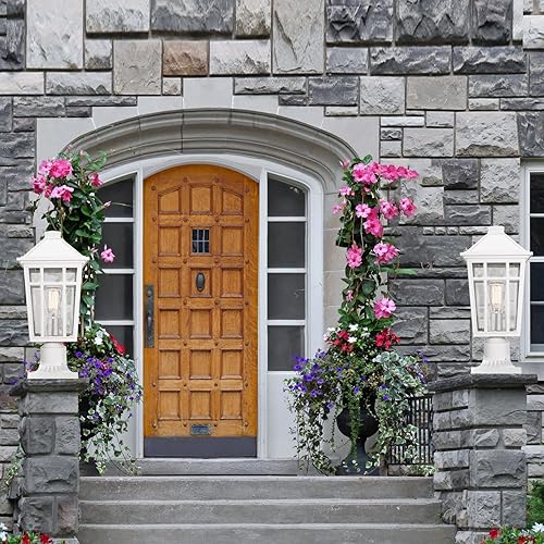 Miniatura 7 de Darkaway Luces de poste grandes para exteriores de 17 pulgadas + adaptador de luz de poste, postes de lámpara con iluminación exterior de vidrio