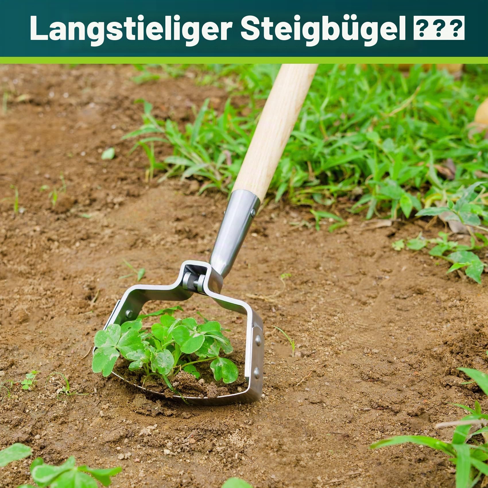 Berry&Bird Hula-Hacke, 160 cm Edelstahl-Bügelhacke, Aktionshacke zum Unkrautjäten, Scuffle Hoe mit Holz-Langstiel zum Jäten im Stehen auf dem Blumenbeet und zwischen den Pflanzen
