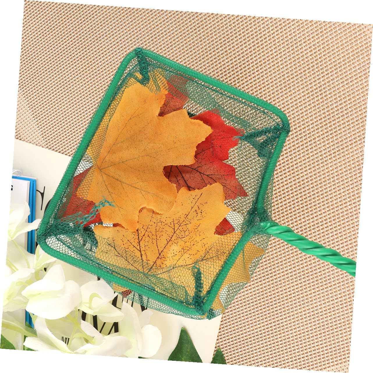 Balacoo 12 Pcs 4 Fish Net Pet Pigeon Fishing Land Net Betta 4 Inch Aquarium Mesh Fish Catch Fishing Scooping Kids Accessaries Accessories Child Portable image 5