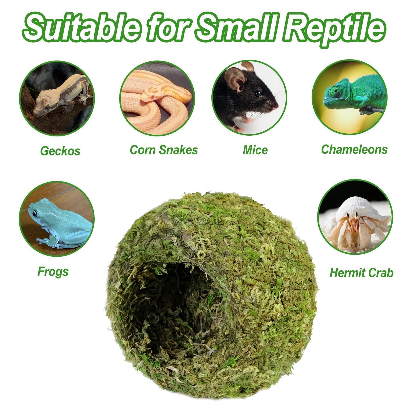 2 escondites de cueva de musgo verde húmedo, un accesorio natural y seguro para tanque de geco crestado, decoración perfecta para terrario y vivero con musgo para lagarto, rana