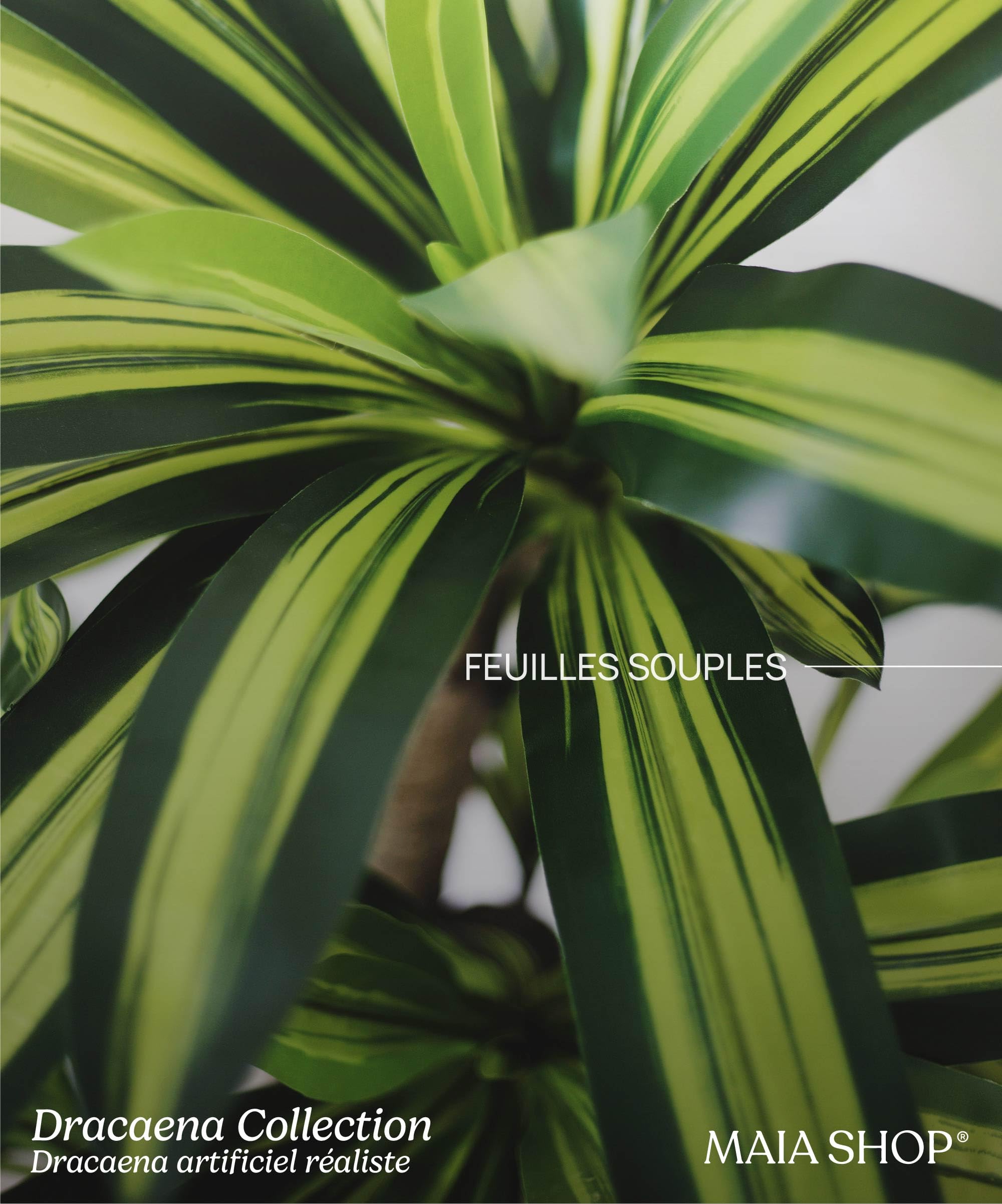 Maia Shop Dracaena Artificielle 150 cm - Faux Arbre d'Intérieur