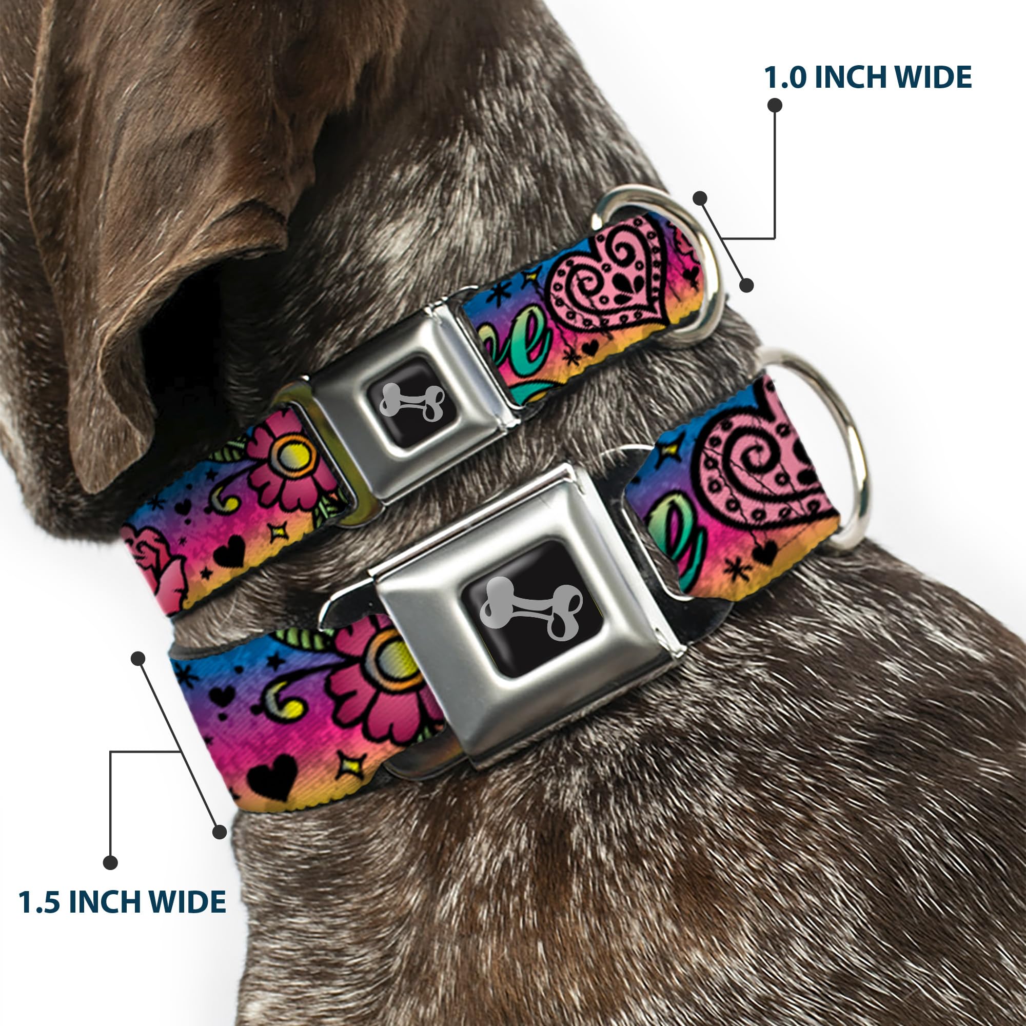 Buckle-Down Collar para Perro con Hebilla para cinturón de Seguridad, Color Morado (13 a 18 Pulgadas, 1.5 Pulgadas de Ancho, Multicolor (DC-W31214-WS)