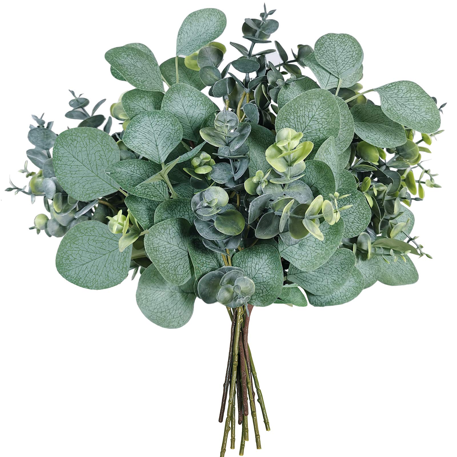 12 Pcs Mixed Eucalyptus Leaves Stems