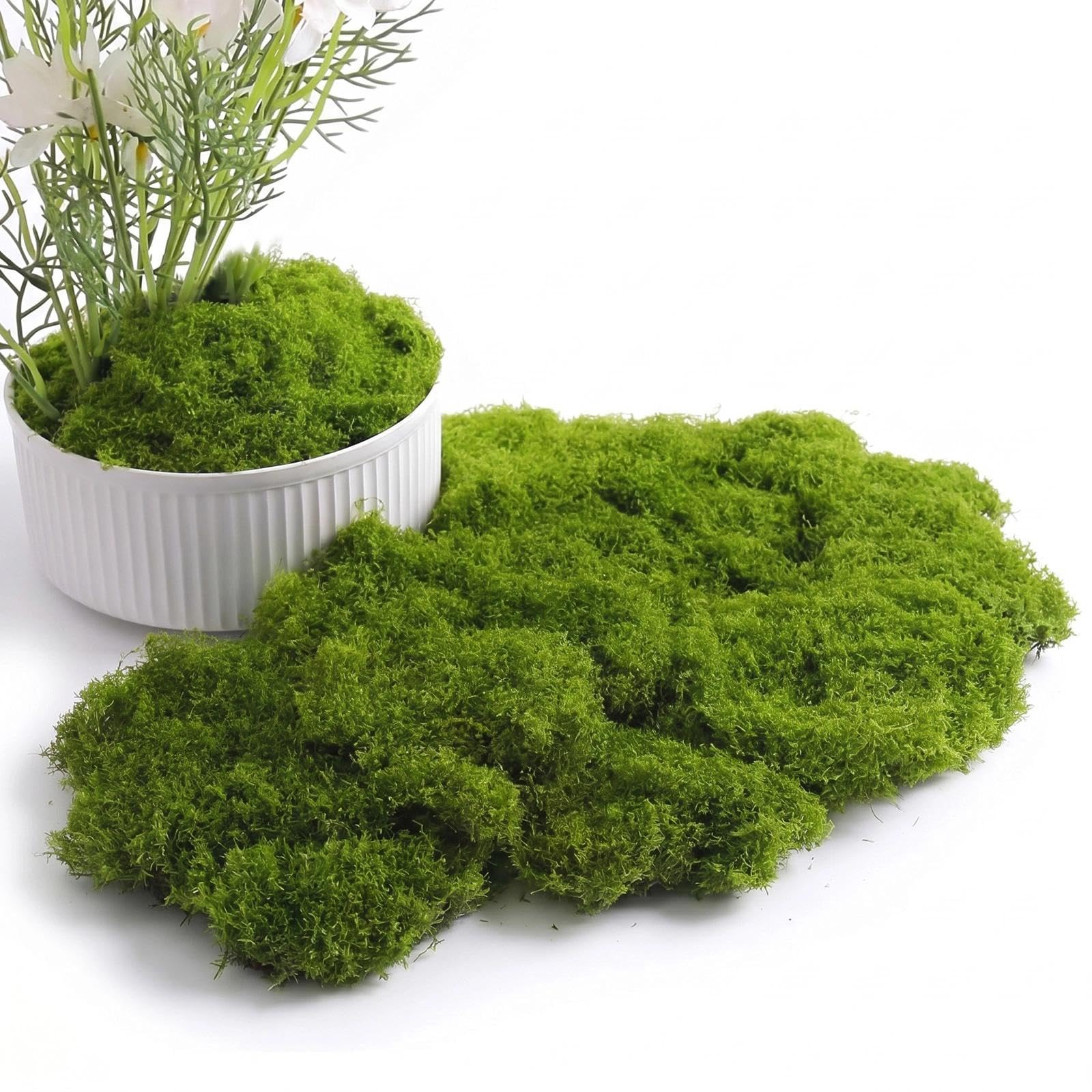 Huanyo Dark Green 200G Artificial Preserved Moss Light Green – Fake Lichen Moss For Plant Pots, Crafting, Floral Arrangements, Vase Fillers & Home Decoration (Dark Green)
