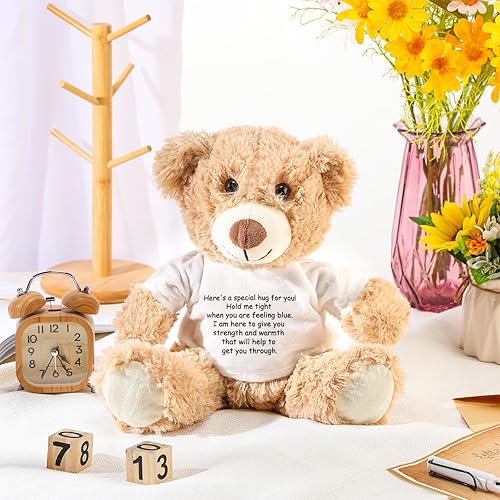 Miniatura 4 de Lenwen Un regalo de abrazo de oso, regalo de condolencias para mujeres, peluche de oso abrazo pensando en ti, regalo para condolencias,