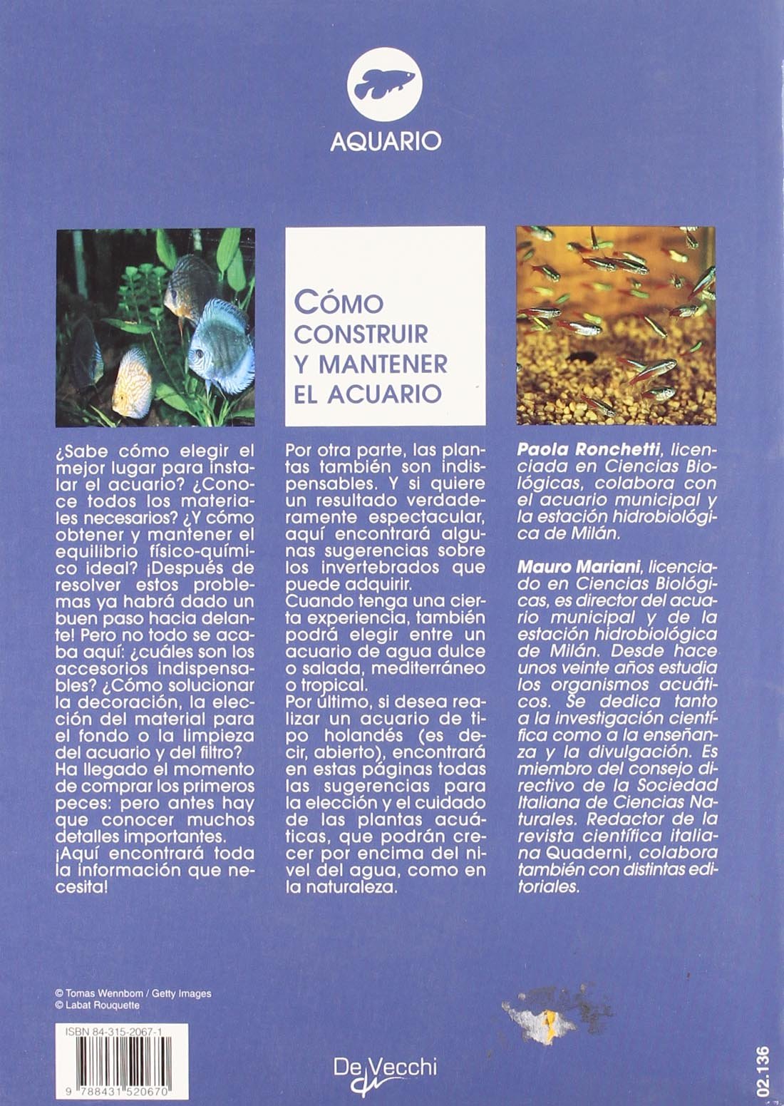 Cómo construir y mantener el acuario