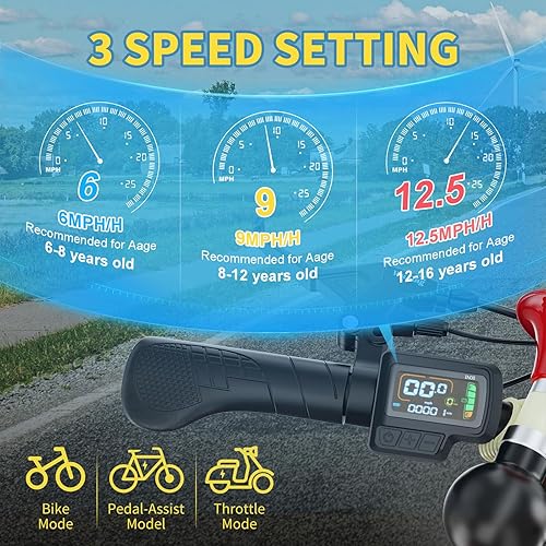 Miniatura 3 de NAIZEA Bicicleta eléctrica para niños, triciclo de 16 pulgadas para niños y niñas de 6 a 12 años, bicicleta eléctrica para niños de 250 W, bicicleta