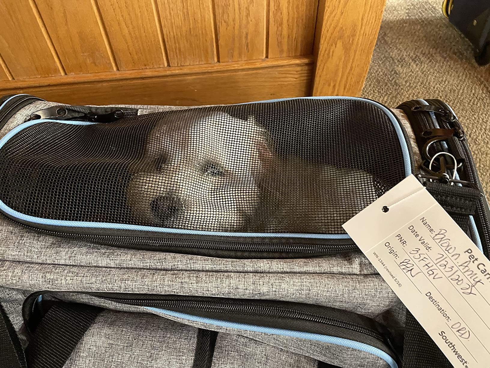 10/mo Finance Maskeyon Airline Approved Pet Carrier, Large Soft