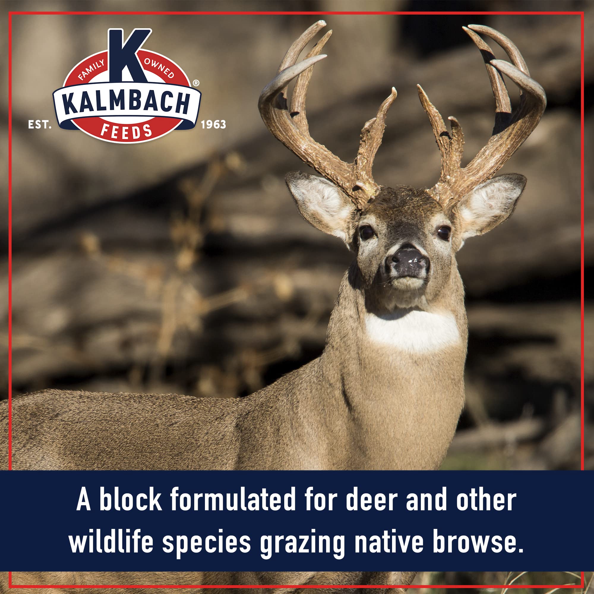 Kalmbach Feeds Apple Flavored Deer Block, 20 lb