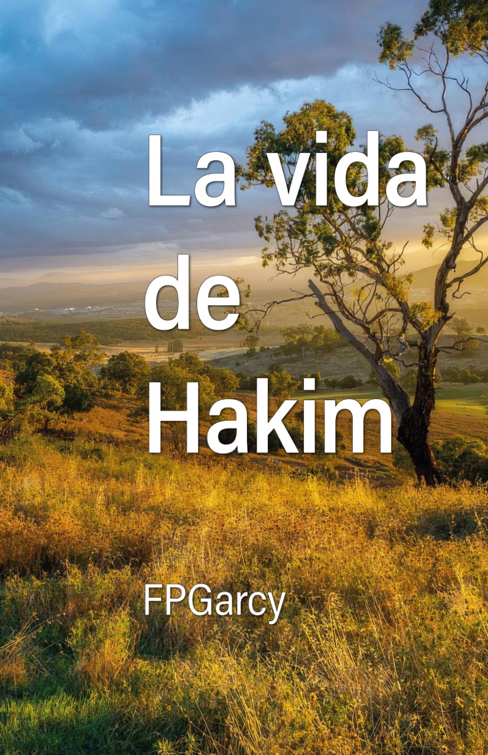 La vida de Hakim: Una novela sobre la dignidad en el silencio