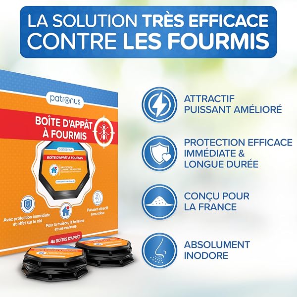Piège à Fourmis Intérieur & Extérieur [4 Boîtes] Appât Anti Fourmis Maison Interieur avec Effet Nid – Élimine Les Fourmilières Efficacement – Discret, Prêt à l’Emploi, sans Odeur - 2