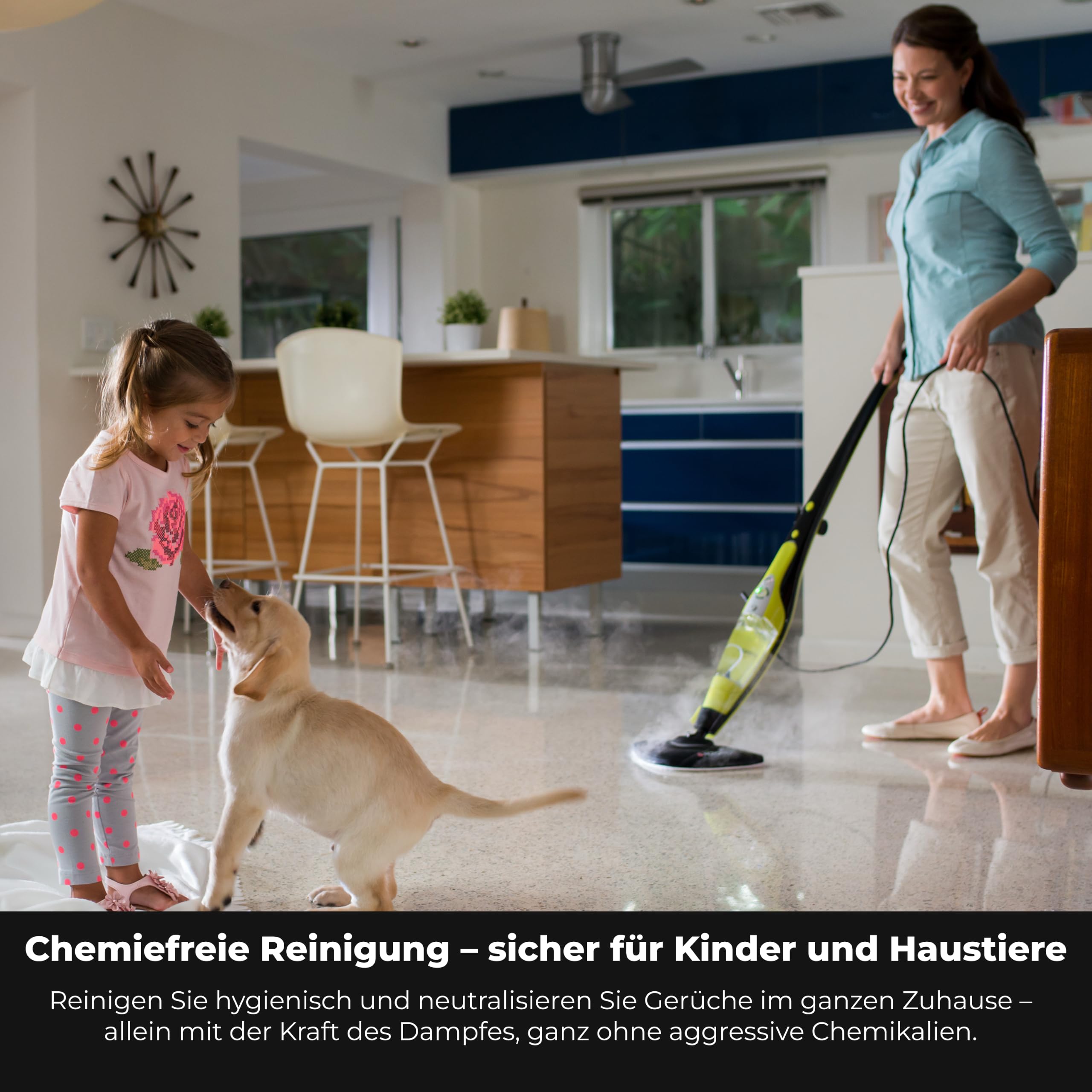 H2O HD Chemiefreier Dampfbesen & Handdampfer 1500W | Entfernt bis zu 99,9% der Bakterien, 450ml Tank, <30s Aufheizzeit, für Familien & Haustiere