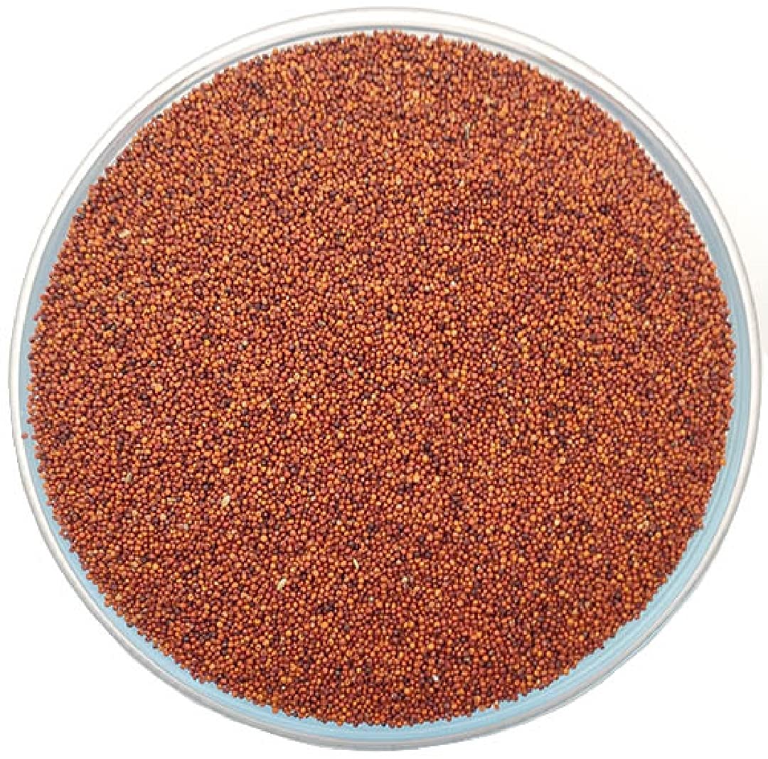 NPS Finger Millet / Ragi / Nachni / Kelvaragu Whole Grain, 500 g in loose