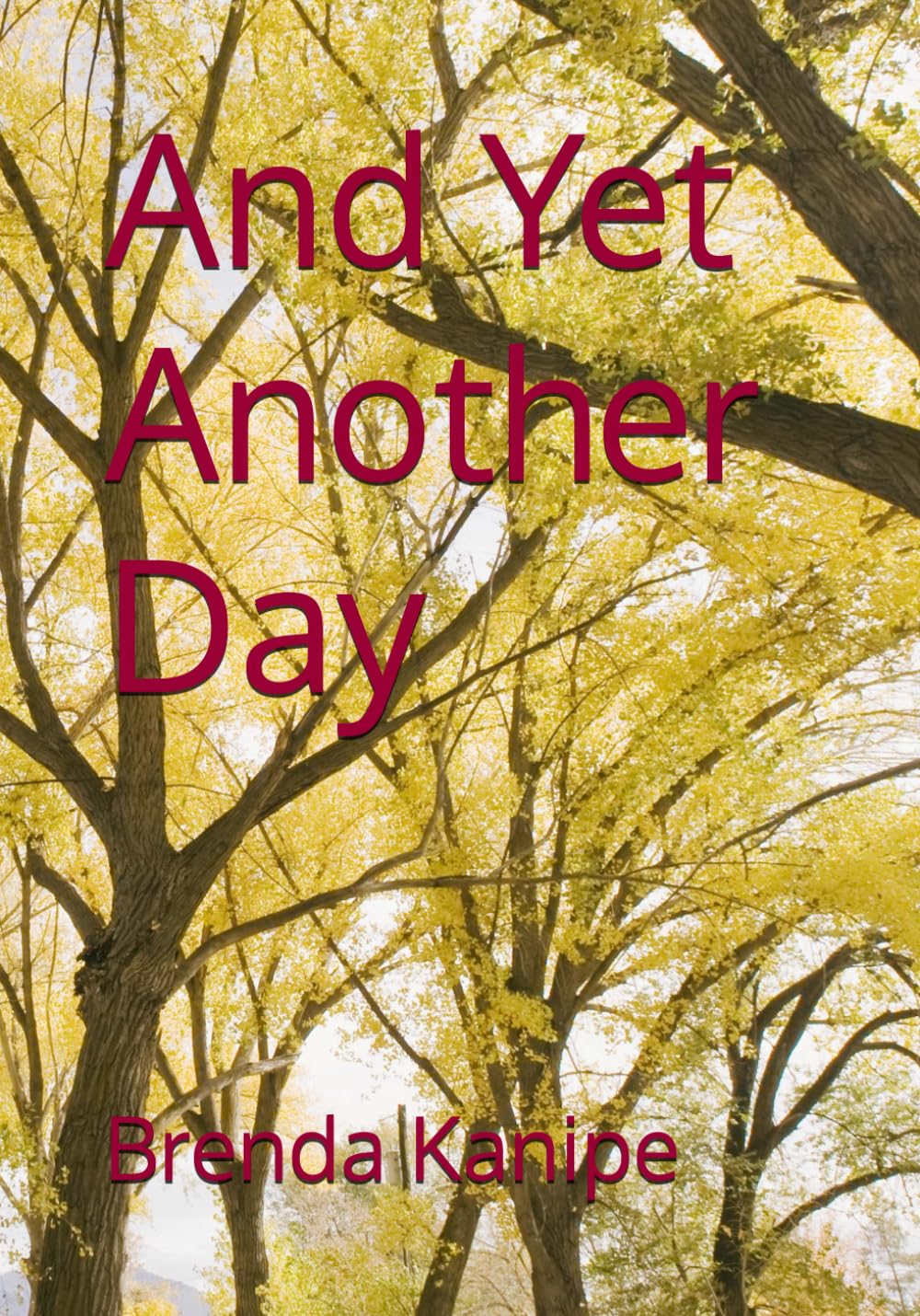 And Yet Another Day