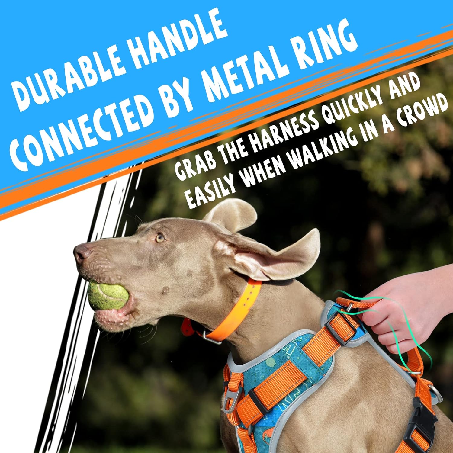 Supet Dog Harness and Leash Set for Large Medium Small Dogs No Pull Adjustable Pet Harness Reflective Dog Vest Harness with Handle for Training Walking Running : Pet Supplies