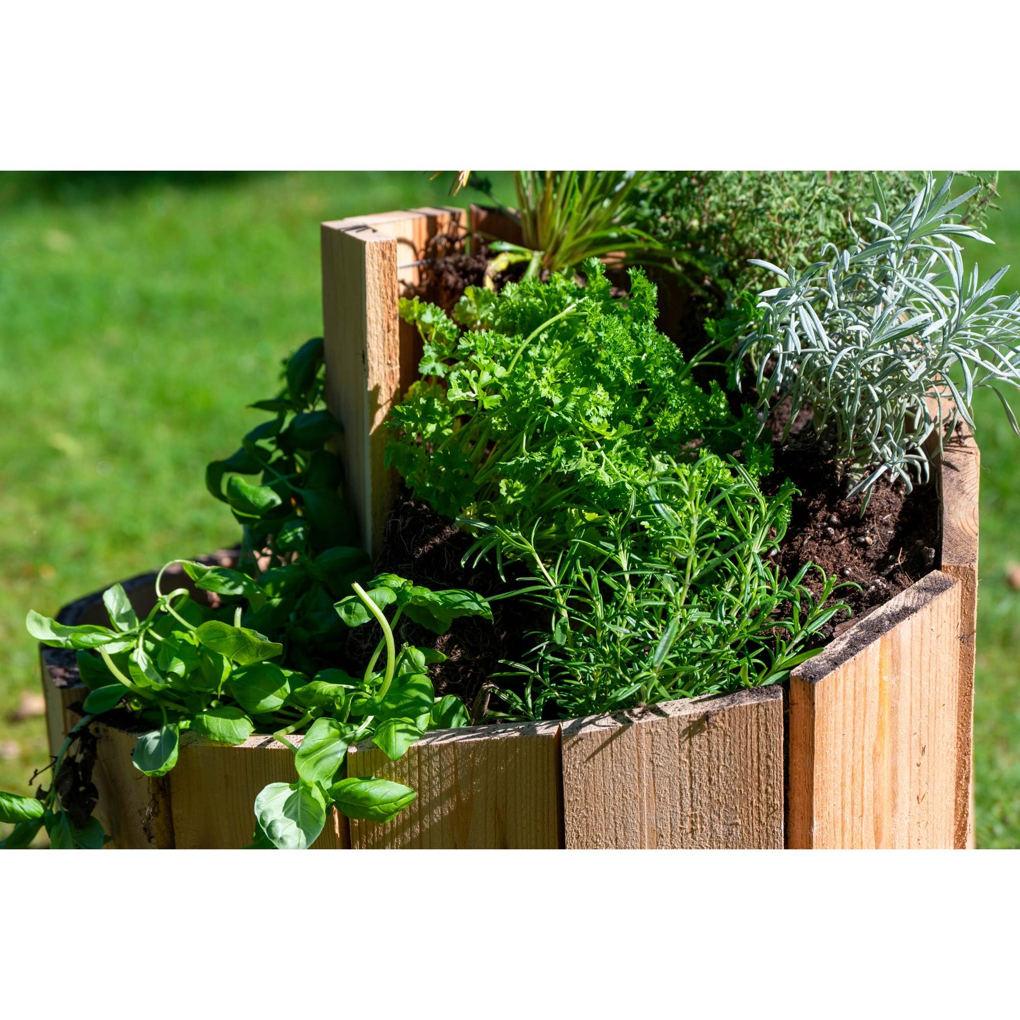 dobar® Green Label Kräuterspirale Massivholz | Kräuterschnecke Vormontiert | Unbehandeltes Holz | Kräutertreppe Kiefernholz Garten | Kräuterturm Bausatz | 250 x 68 cm | Natur