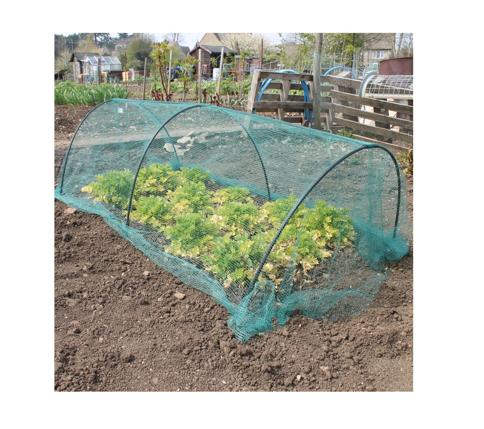Black Modular Cloche Hoop Tunnel Kits 1.2m Wide x 0.6m High 0.9m Long with Green Soft Butterfly Netting