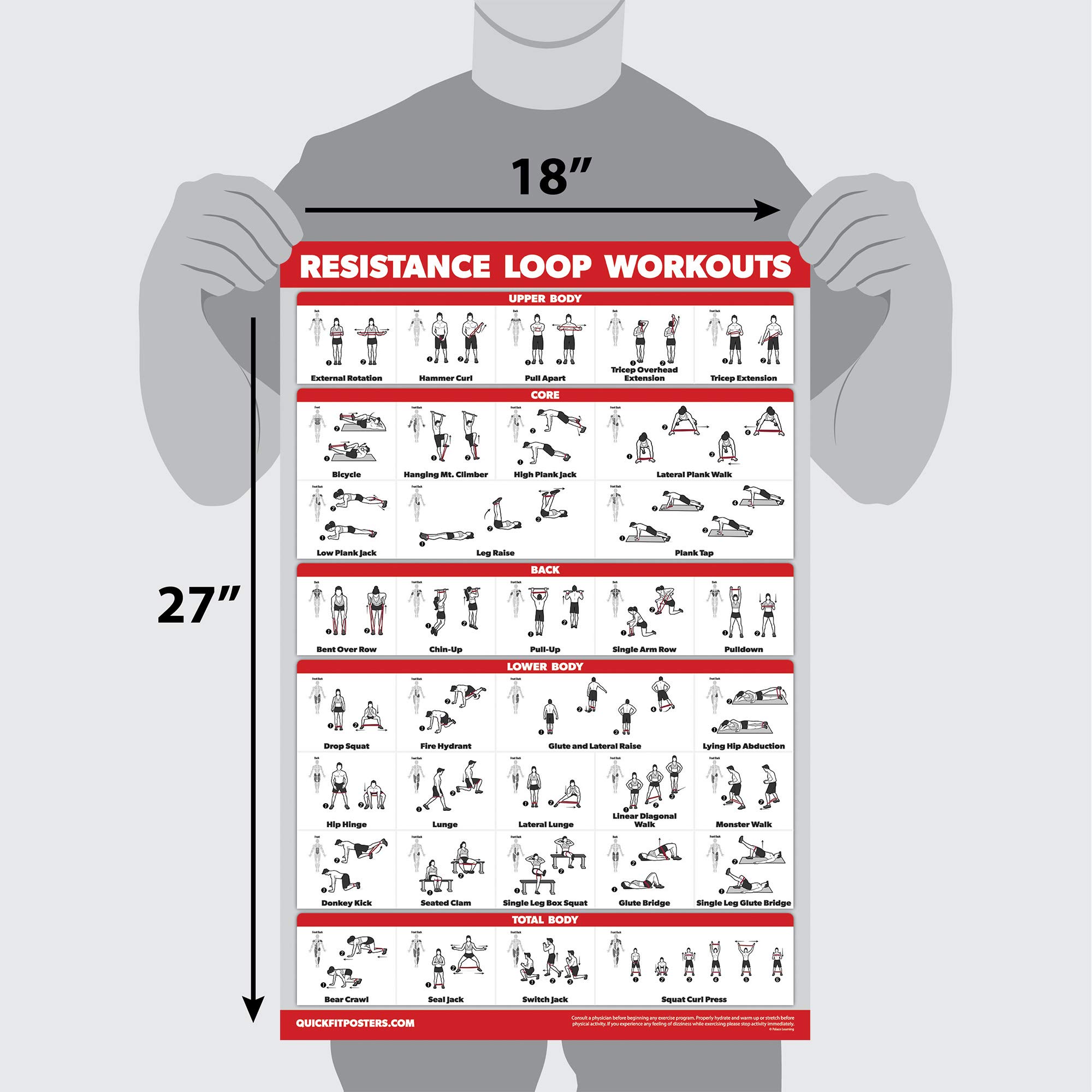 QuickFit 2 Pack Resistance Bands and Resistance Loops Workout Posters