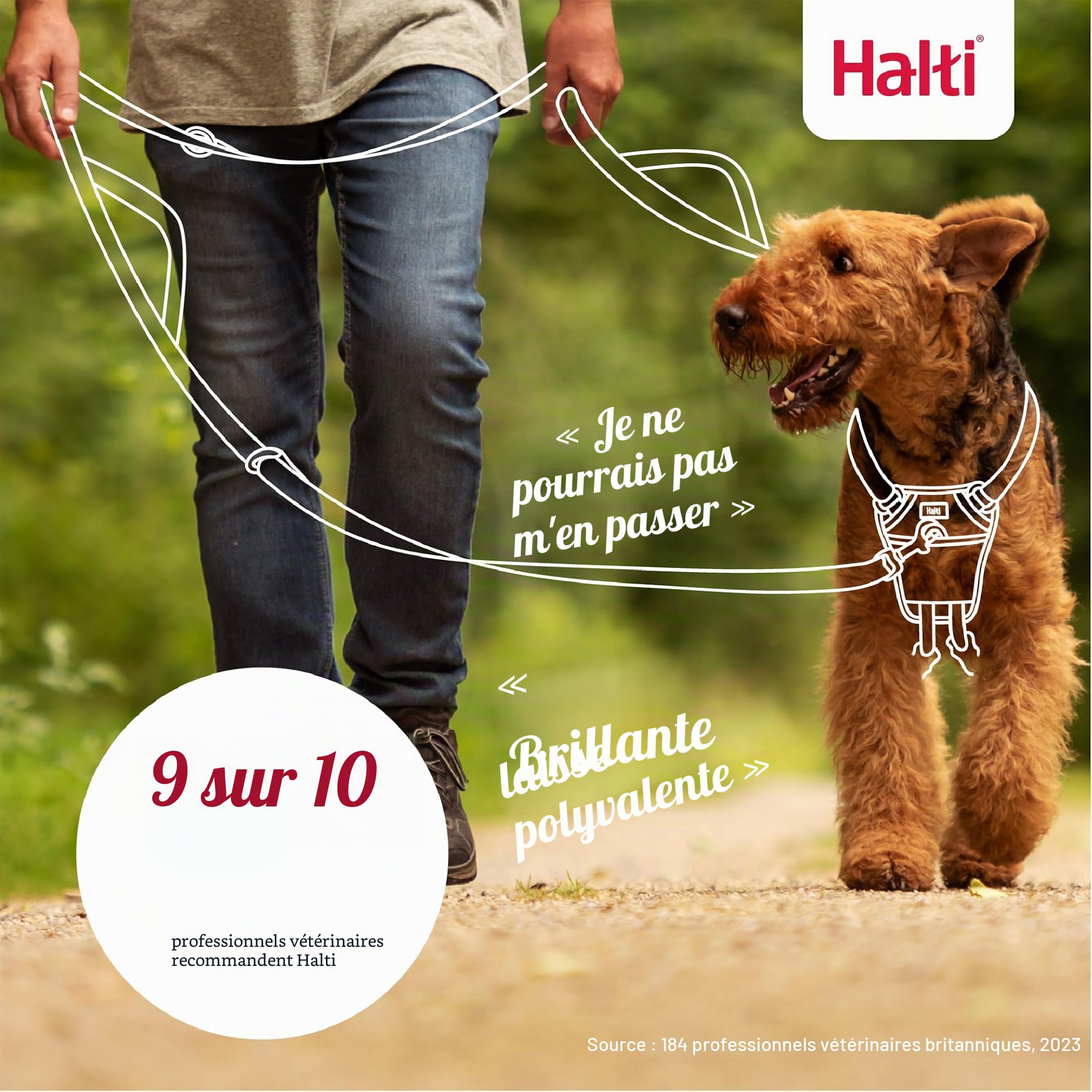 Laisse de contrôle HALTI, Noir, 2m, 2 poignées conçues pour vous aider a éduquer et promener votre chien, Rembourrée, Laisse de Dressage de Chien à Double Extrémité pour chiens et chiots