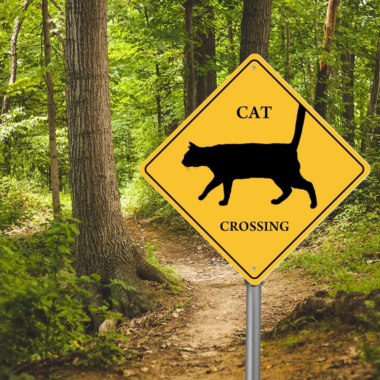 Placa de metal para gato Xing gato cruce señal de advertencia precaución cuidado con la zona de cruce de gatos resistente a la intemperie, letrero de aluminio retro para decoración de jardín de