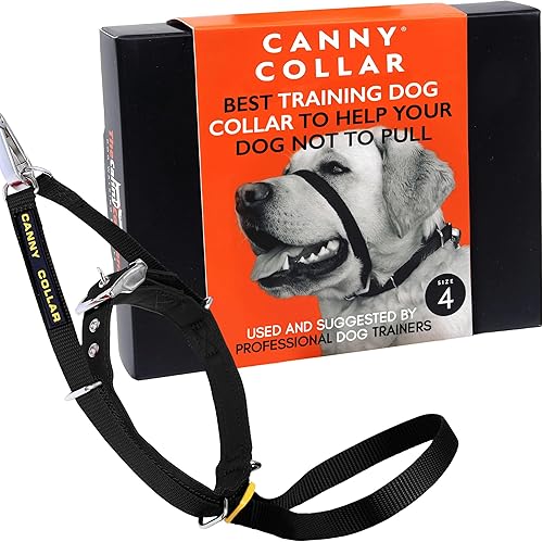 Canny Collar de cabeza de perro, arnés de cabeza de entrenamiento de correa sin tirones, halter fácil de ajustar que deja de tirar, control cómodo y Canny Collar de cabeza de perro, arnés de cabeza de entrenamiento de correa sin tirones, halter fácil de ajustar que deja de tirar, control cómodo y